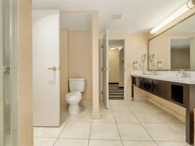 Holiday Inn Conference Centre Edmonton South, an IHG - 62