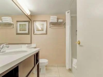 Holiday Inn Conference Centre Edmonton South, an IHG - 50