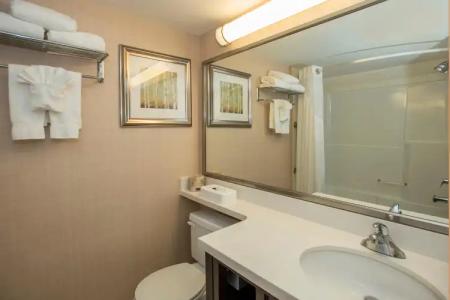 Holiday Inn Conference Centre Edmonton South, an IHG - 7