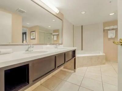 Holiday Inn Conference Centre Edmonton South, an IHG - 61