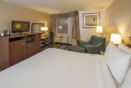 Holiday Inn Conference Centre Edmonton South, an IHG - 106