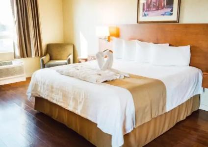 Rosslyn Inn & Suites - 90