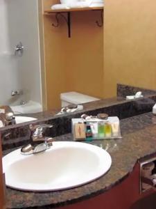 Rosslyn Inn & Suites - 54