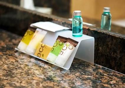 Rosslyn Inn & Suites - 55