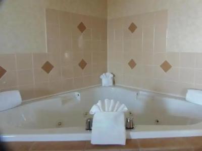 Rosslyn Inn & Suites - 96