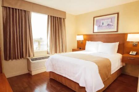 Rosslyn Inn & Suites - 83