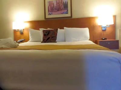 Rosslyn Inn & Suites - 74