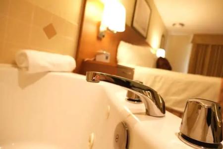 Rosslyn Inn & Suites - 93