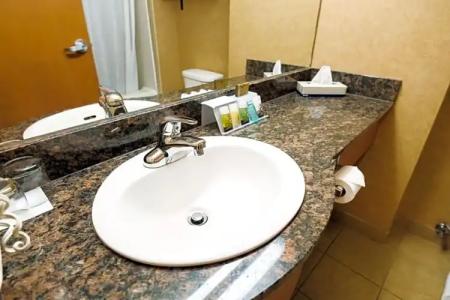 Rosslyn Inn & Suites - 60