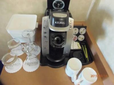 Rosslyn Inn & Suites - 17