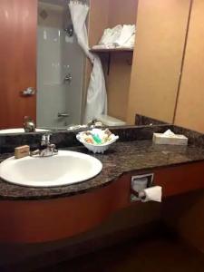 Rosslyn Inn & Suites - 51