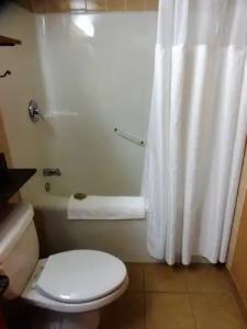 Rosslyn Inn & Suites - 81