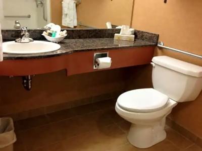 Rosslyn Inn & Suites - 50