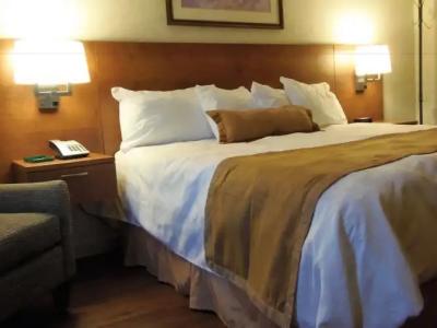 Rosslyn Inn & Suites - 78