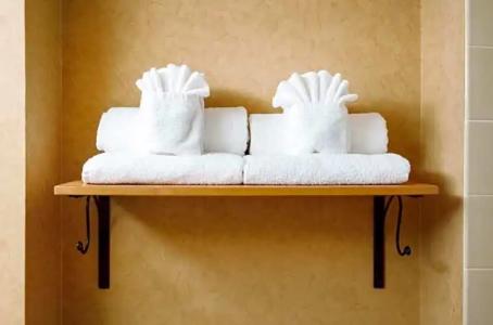 Rosslyn Inn & Suites - 62