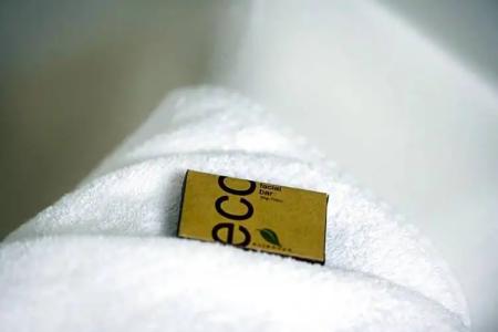 Rosslyn Inn & Suites - 61