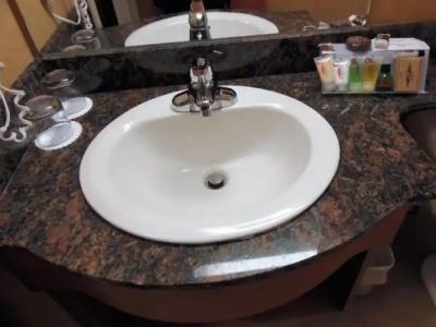 Rosslyn Inn & Suites - 25