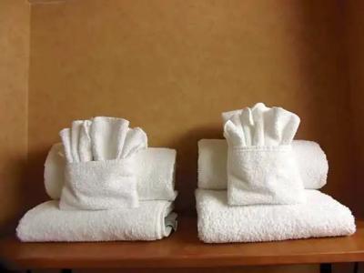 Rosslyn Inn & Suites - 49