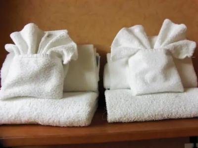 Rosslyn Inn & Suites - 68