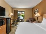 Standard Double Basement room