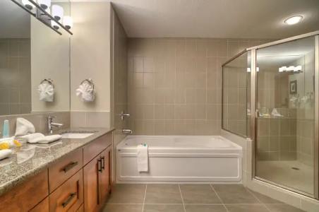 Stoneridge Mountain Resort - 7