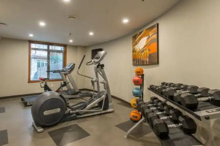 Stoneridge Mountain Resort - 12