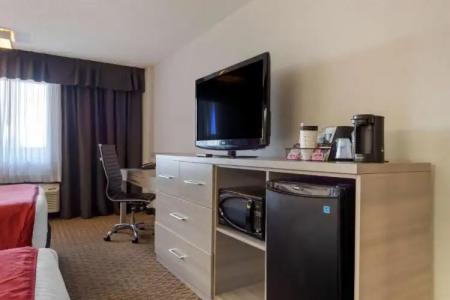 Best Western Plus Village Park Inn - 119