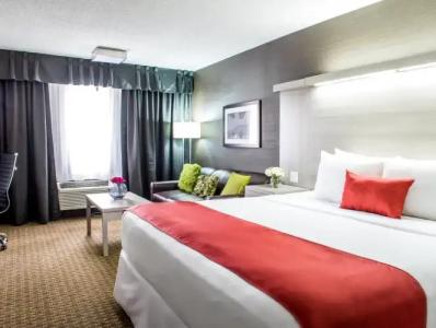 Best Western Plus Village Park Inn - 101