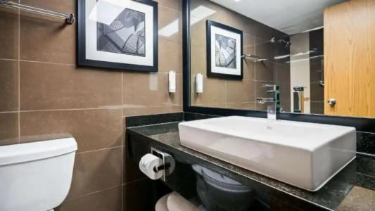 Best Western Plus Village Park Inn - 114