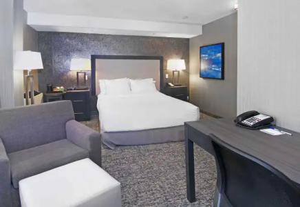 Holiday Inn Express and Suites Calgary, an IHG - 25