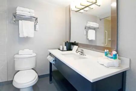 Holiday Inn Express and Suites Calgary, an IHG - 7