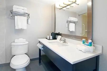 Holiday Inn Express and Suites Calgary, an IHG - 50