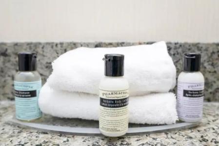 Sandman & Suites Calgary West - 20