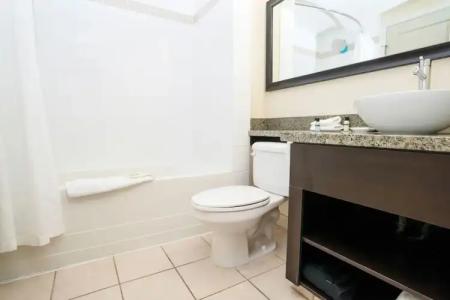 Sandman & Suites Calgary West - 27