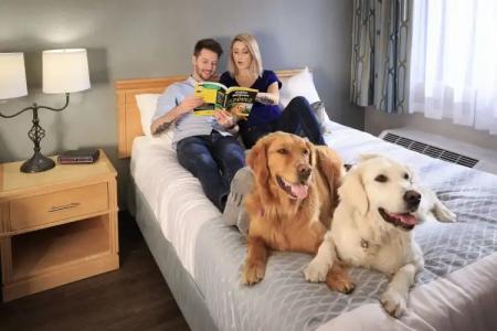 Accent Inns Burnaby - 6