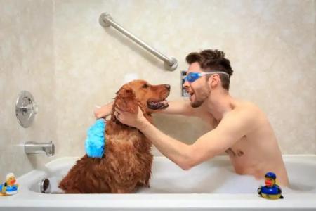 Accent Inns Burnaby - 23