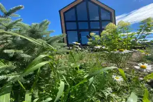 Uyutnyy sovremennyy Barn dlya komfortnogo prozhivaniya Cottage