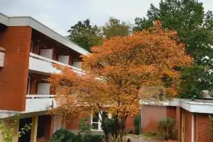 Parkhotel Keck - Castillo del Bosque