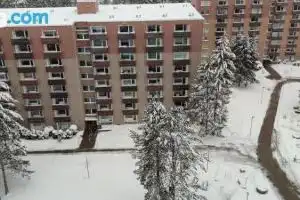 Harzperle Tourist base