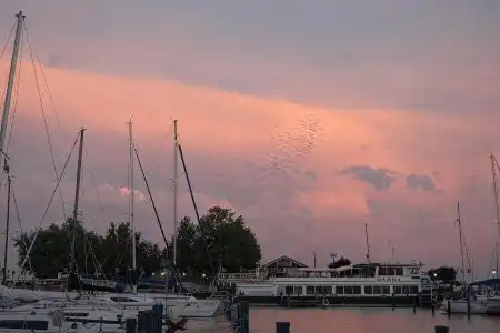 Apartman Vitorlás Vendégház - 1