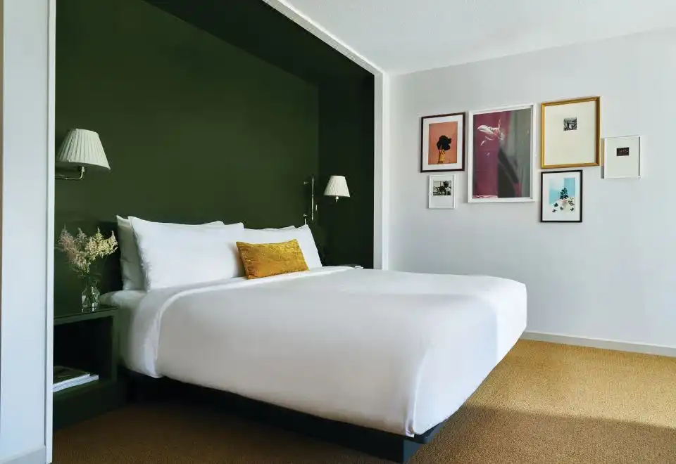 Accessible Park King Room with Roll-in Shower