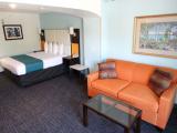 One Bedroom King Suite
