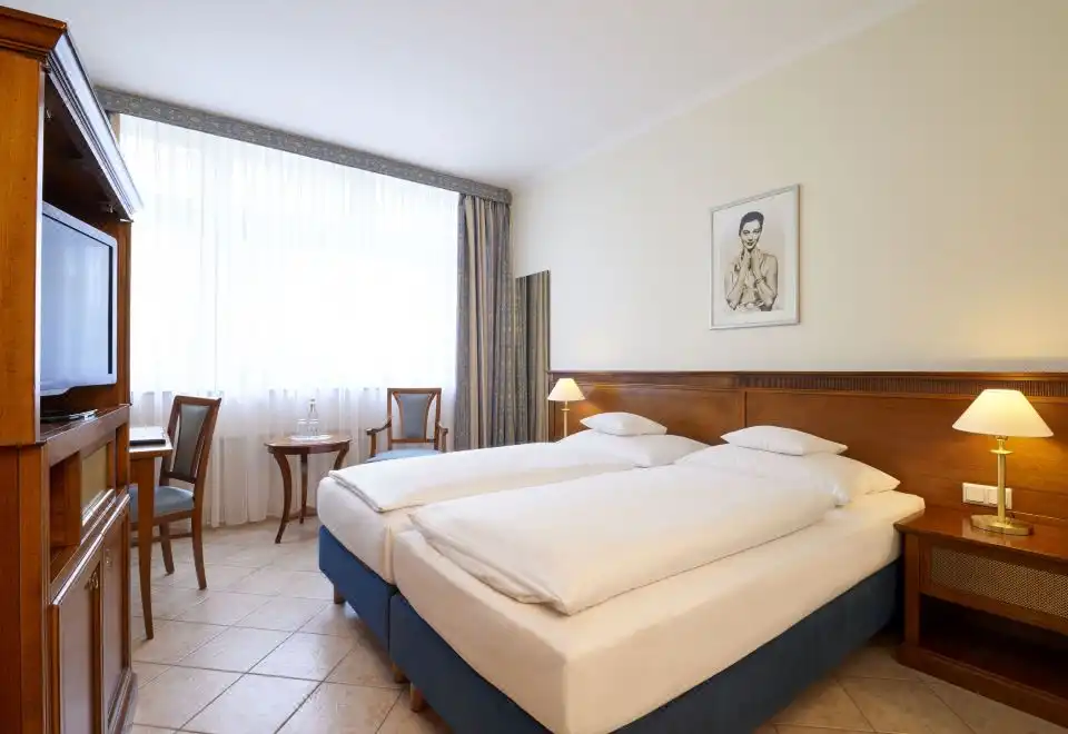 Standard Double Or Twin Room