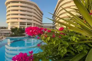 Laguna Beach Alya Resort & Spa, Okurcalar