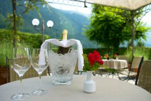 Du Lac Vital Mountain Hotel, Molveno