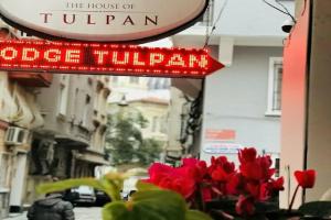 The House of Tulpan, Istanbul