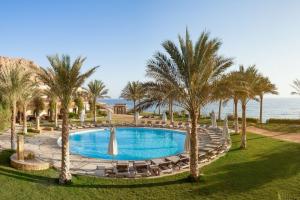 Dahab Paradise, Dahab