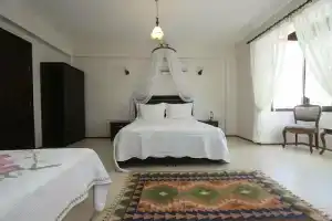 Nano otel, Ildir
