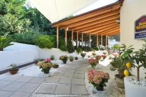 Santo Stefano al Mare - Hotels