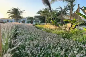 Serry Beach Resort, Hurghada